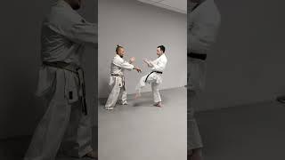 exercise for training watari uke / bunkai analysis application oyo bunkai Uechi ryu Karate Hozonkai