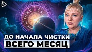 Нумеролог-контактер предупредила: у нас осталось всего 2 недели до начала перехода — Мара Боронина