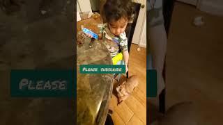 Feeding the Dog from the Table!!