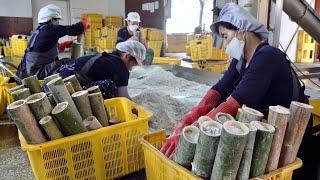 Pabrik garam bambu Korea yang luar biasa. Proses produksi massal garam panggang panas