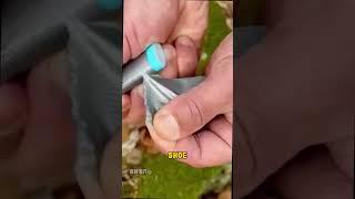 The best scotch tape in the world!