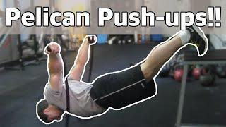 Pelican Push-ups (super hard ring push-ups!)