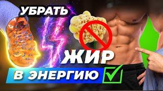 ЖИР Уйдет на Питание КЛЕТОК! Реальная причина лишнего веса.