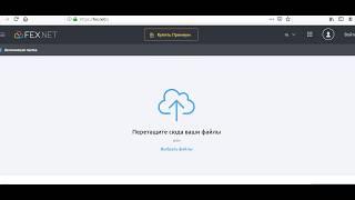 как передать файл большого объема по интернету fex.net