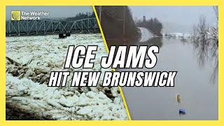 Ice Jams Cause Saint John River to Burst Its Banks