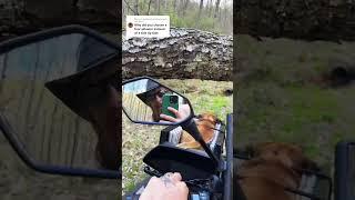 Why an ATV over a side-by-side