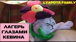 ГЛАЗАМИ КОТА КЕВИНА: УТРО В ЗВЕРОЛАГЕРЕ | КОТ-БЛОГЕР