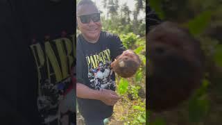 DAD’S BIRTHDAY TRIP TO SAMOA 