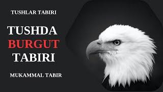 TUSHDA BURGUT TABIRI | TUSHDA BURGUTNI KO'RISH NIMAGA ISHORA BO'LADI?