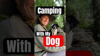 Camping With My Dog | Cozy Site & Sunset Hike ️