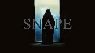 The Tragedy of Severus Snape