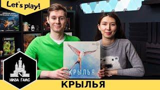 Играем в Крылья! Одна из самых хайповых семейных игр последних лет. Правила и летсплей.