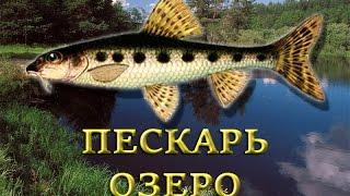 Пескарь. Озеро. Русская рыбалка 3 Огненная земля