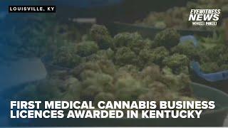 Lottery decides recipients of Kentucky's first 36 medical cannabis business licenses