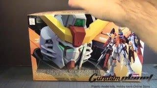 *GundamModels* RG 1/144 Destiny Gundam Heine Westenfluss - Part 1