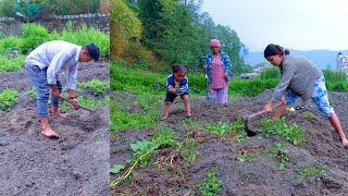 our farm field , working with brothers , sister & mother dhanlaxmi || sumnima Rai @SumnimaRaini
