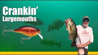 How Al Lindner Catches Giant Largemouth Every Time