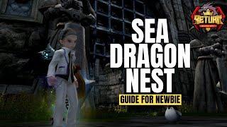 TUTORIAL SEA DRAGON NEST FULL RUN - DRAGON NEST RETURN #7