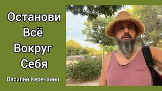 КакОбхитрить Ум, Чтобы Удерживать Состояние Тишины? - Василий Керечанин.