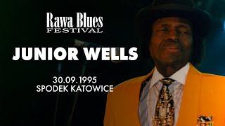 Junior Wells - Rawa Blues Festival 1995