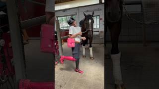 Pink is for everyone  #viral #horse #equestrian #riding