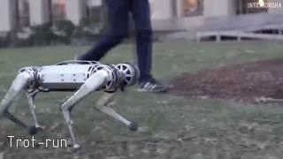 Boston Dynamics русская озвучка 22  Мат