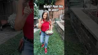 Plant this in June?