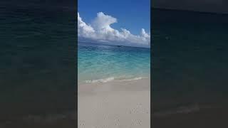 Best Beach in Africa #shorts #tanzania #zanzibar #short @passportaction #youtubeshort #paradise