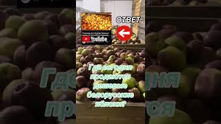 где самые дешёвые яблоки? #подпишись #беларусь #прессцентр