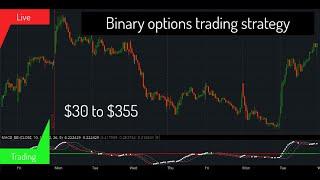 This strategy is for beginners |  Binary Options Trading 2024 | 99% win rate Strategy for  Everyone