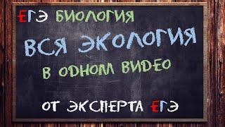 Вся экология ЕГЭ тут от эксперта ЕГЭ | Биология ЕГЭ