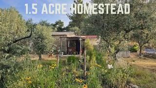 Homesteading in a Heatwave
