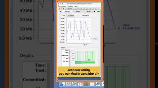JVM metrics on Jconsole #java #coding #programming #shorts #javalanguage #code #codinglife