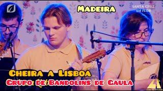 Cheira a Lisboa - Tuna Bandolins Amadis Casa Povo de Gaula" Madeira em Flor Portugal Popular