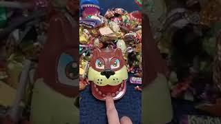 Angry dog bite my finger #shorts #trendingshorts #shortsviral #shortsvideo