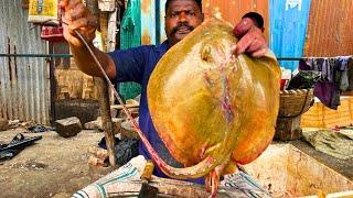 KASIMEDU  SPEED SELVAM | BROWN STINGRAY FISH CUTTING VIDEO | IN KASIMEDU | FF CUTTING 