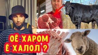 ГУШТЕ, КИ АЗ МАFОЗА МЕХАРЕД ХАЛОЛ КУШТА ШУДААСТ Ё НЕ? (JAVLON LIFE) 2023