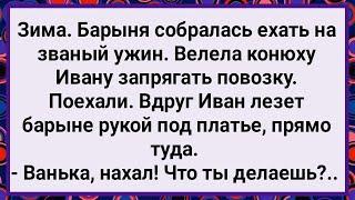 Как Конюх Залез Барыне под Платье! Большой Сборник Свежих Смешных Анекдотов!