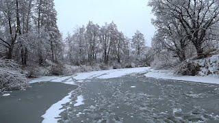 Perch on Chertik. Ice Fishing from Ice