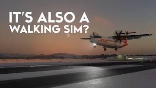 The World's Best WALKING Simulator?  Microsoft Flight Simulator 2024