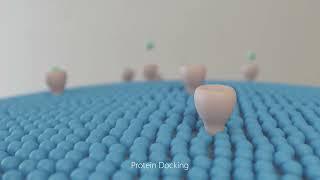 Protein docking  #medicalanimations #cinema4d #maxone  #redshiftrender  #3d #3danimation