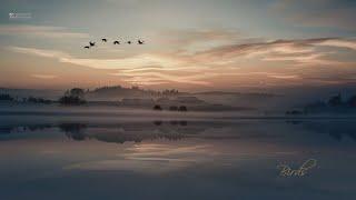 Nashwille - Birds Beautiful Piano Music
