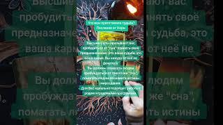 Что приготовила судьба? Для тебя послание #danilova #раскладнарунах #elenadanilova