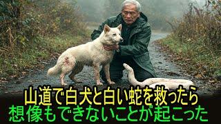 山で犬と白蛇を助けた私──その夜、誰も想像できなかったことが起きた…|老年の知恵 | 人生のアドバイス | オーディオブック | 生きる知恵