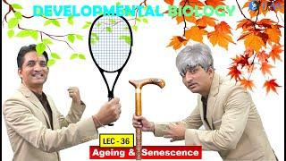 CSIR NET JUNE 2025 I Developmental Biology I Lecture 36 I Ageing & Senescence I IFAS