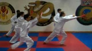Eventail Snari Club