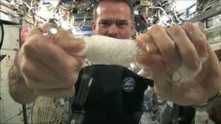 Wringing out a Water Soaked Washcloth in Space | CSA Science HD Video