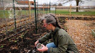 Garden Sabbath Day 1 | Testing My Soil's PH