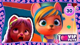  BIRTHDAY with FRIENDS   COLLECTION   VIP Pets   CARTOONS for KIDS in ENGLISH 