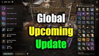 Night Crows Global Upcoming Update & Event